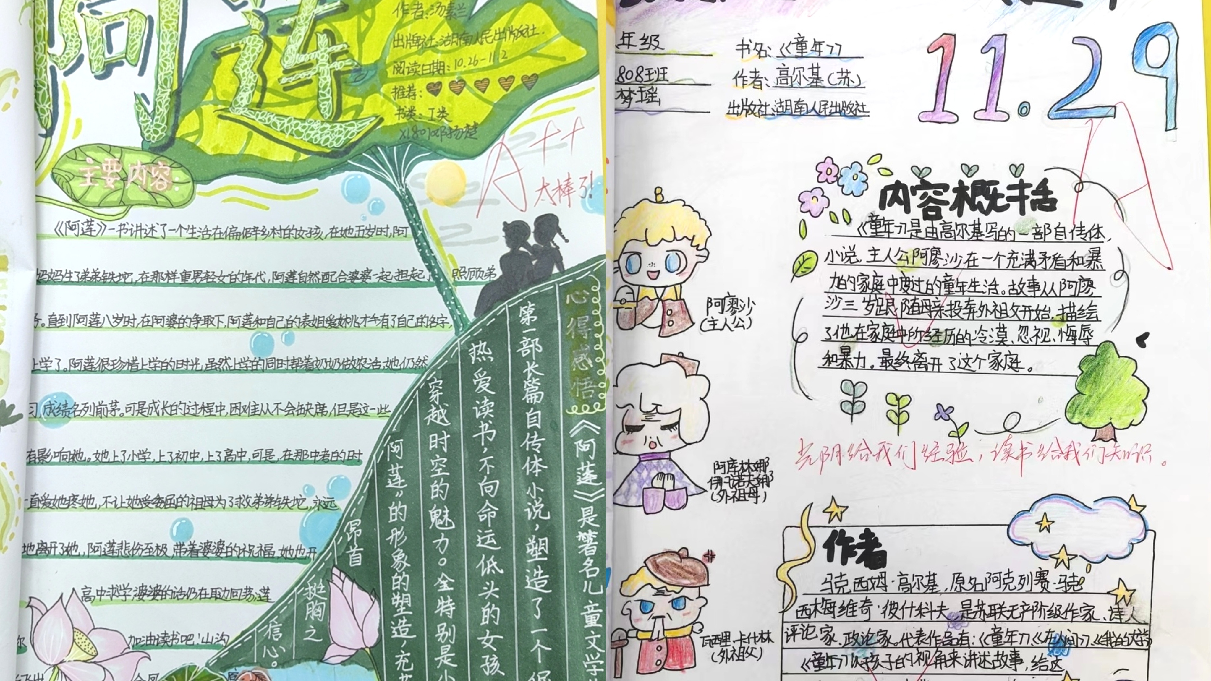 图片5.jpg 图片5.jpg