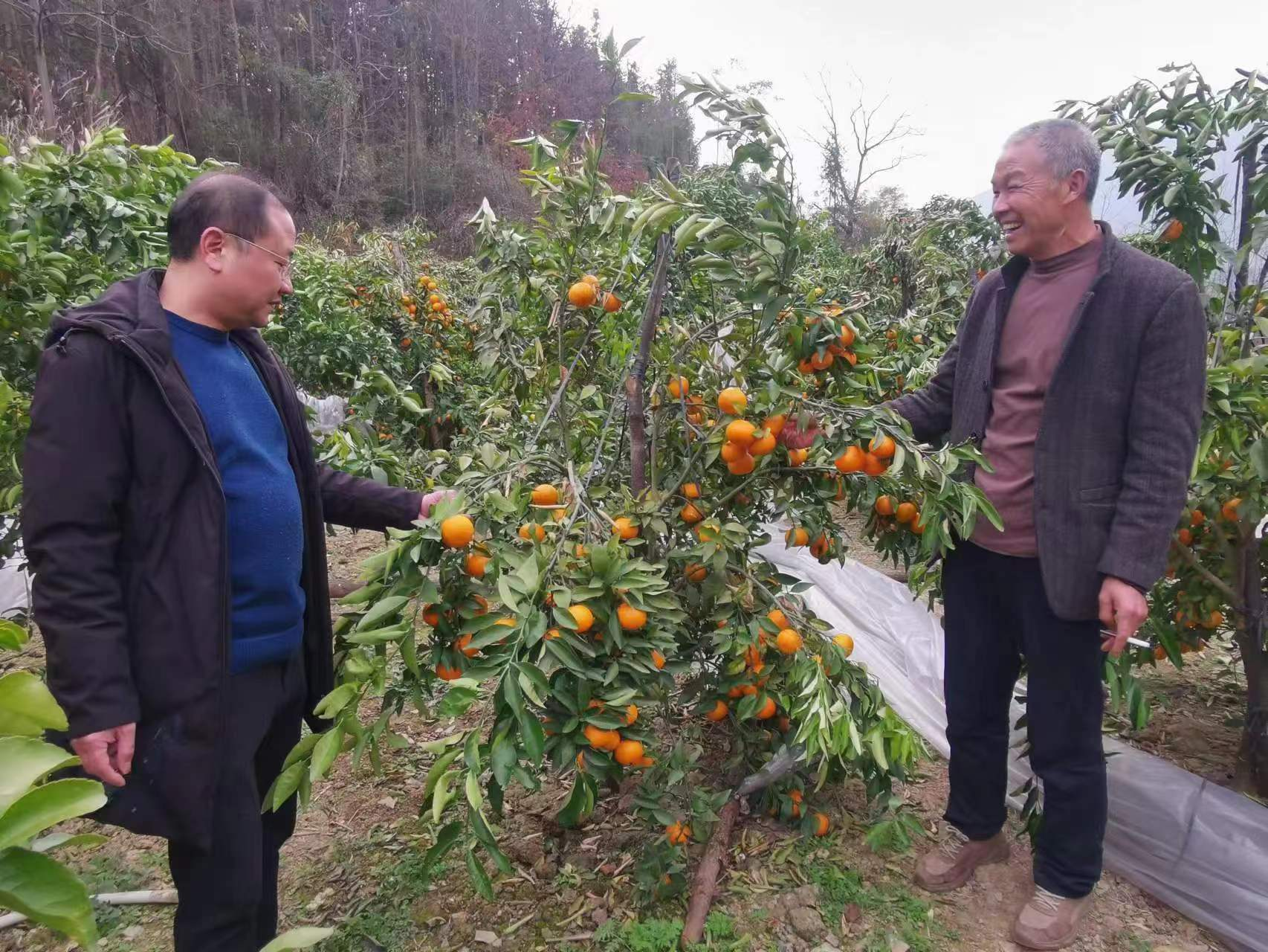 图片1.png 图片1.png