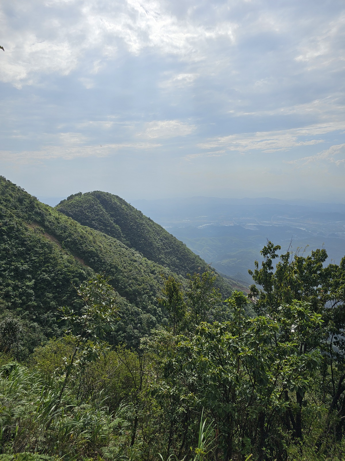 微信图片_20240829143453.jpg 微信图片_20240829143453.jpg